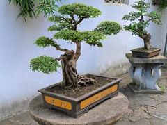 -西园戒幢律寺