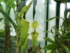 -国家植物园南园