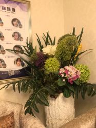 -紫洁俪方（北京）医疗美容