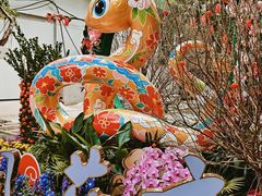 -越秀西湖花市(广州城市广场花卉店)