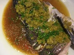 -森谷美食公园(杨行店)
