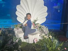 -烟台海昌鲸鲨海洋公园