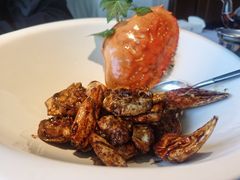 -梧桐北京烤鸭·铜锅涮肉(海岸城店)