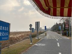 -贡湖湾湿地公园