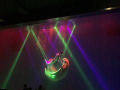 -芜湖新华联大白鲸海洋公园