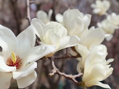 -白塘生态植物园