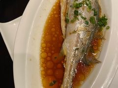 -京香轩·中餐厅(上海中庚聚龙酒店)