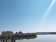 -西青郊野公园