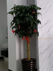 -SOR索尔祛痘·面部肌肤管理