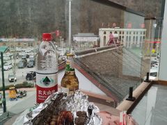 -栾川竹海野生动物园