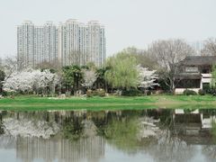 -堤角公园