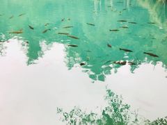 -小七孔景区东门售票处