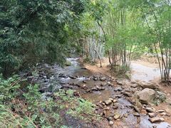 -象头山国家级自然保护区