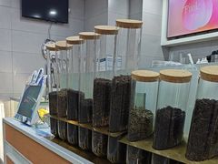 -雾与山茶(大禹城店)