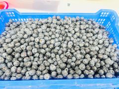 -城南综合水果批发市场(花园路店)