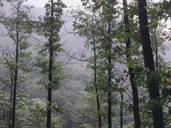 -藏龙百瀑风景区