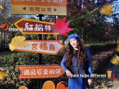 -沈阳市东陵公园