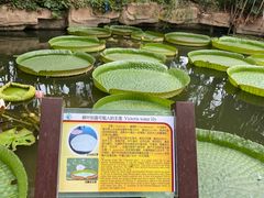 -华南国家植物园-售票处