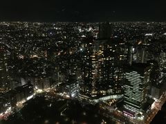 -东京都厅舍