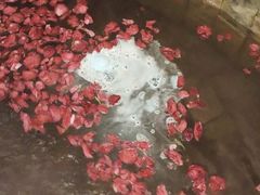 -北京美神宫艺术主题温泉酒店
