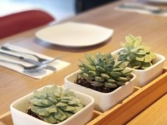 -必胜客(花舞大唐博物馆店)