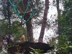 -芦仙山景区-飞越丛林探险乐园