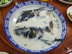 -全乐鱼馆·淳牌有机鱼直营店