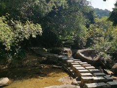 -广州白江湖森林公园