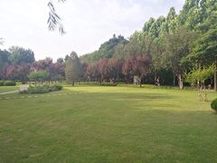 -达活泉公园
