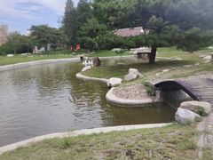 -北京世界公园