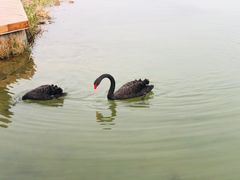 -河北省园博园