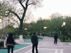 -西海子公园