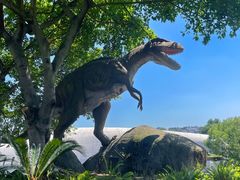 -自贡恐龙博物馆