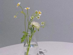 -intime coffee(芝麻街店)
