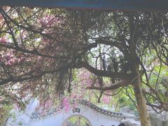 -深圳国际园林花卉博览园