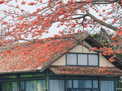 -喜洲吧·江畔老船厂·庭院餐厅(喜临院店)