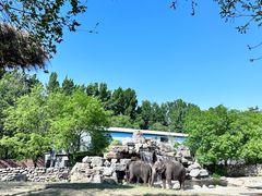 -北京野生动物园