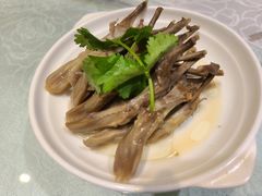 鸭舌-金米箩大酒店(五角场店)