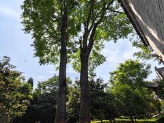 -洛阳周公庙博物馆