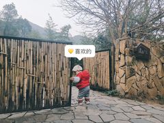 -远山有窑