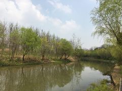 -新江湾城公园