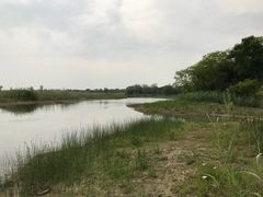 -同里国家湿地公园