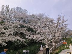 -杭州少年儿童公园