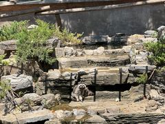 -北京野生动物园