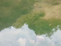 -齐王寨景区