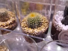 -KKV(东莞海德汇一城店)