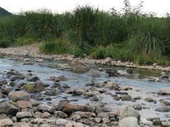 -楠溪江风景名胜区