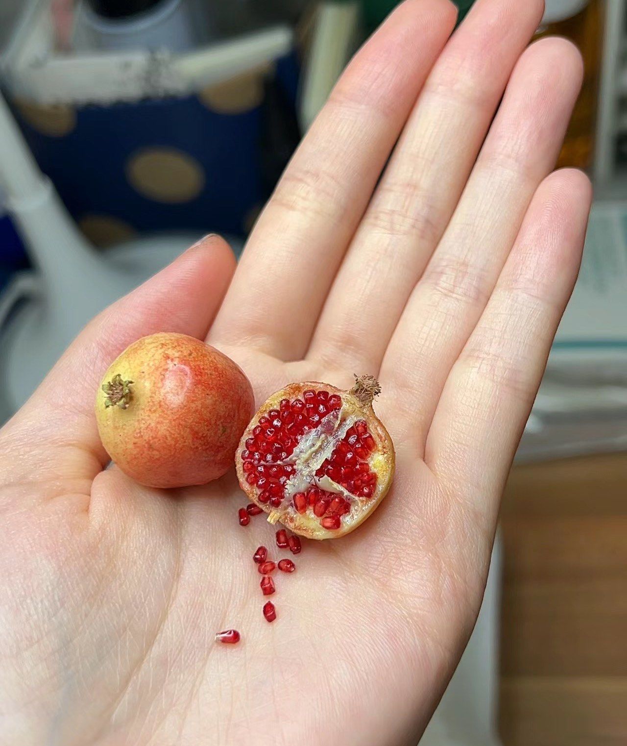 颗颗饱满晶莹剔透的小石榴