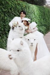 -雨墨婚纱摄影工作室