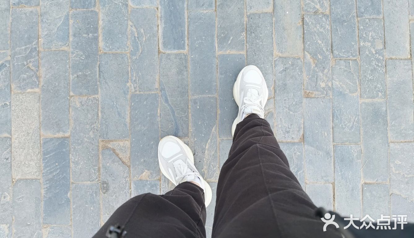 早上做完了核酸顺便去凤凰山爬了个山，据说山顶的亭子要